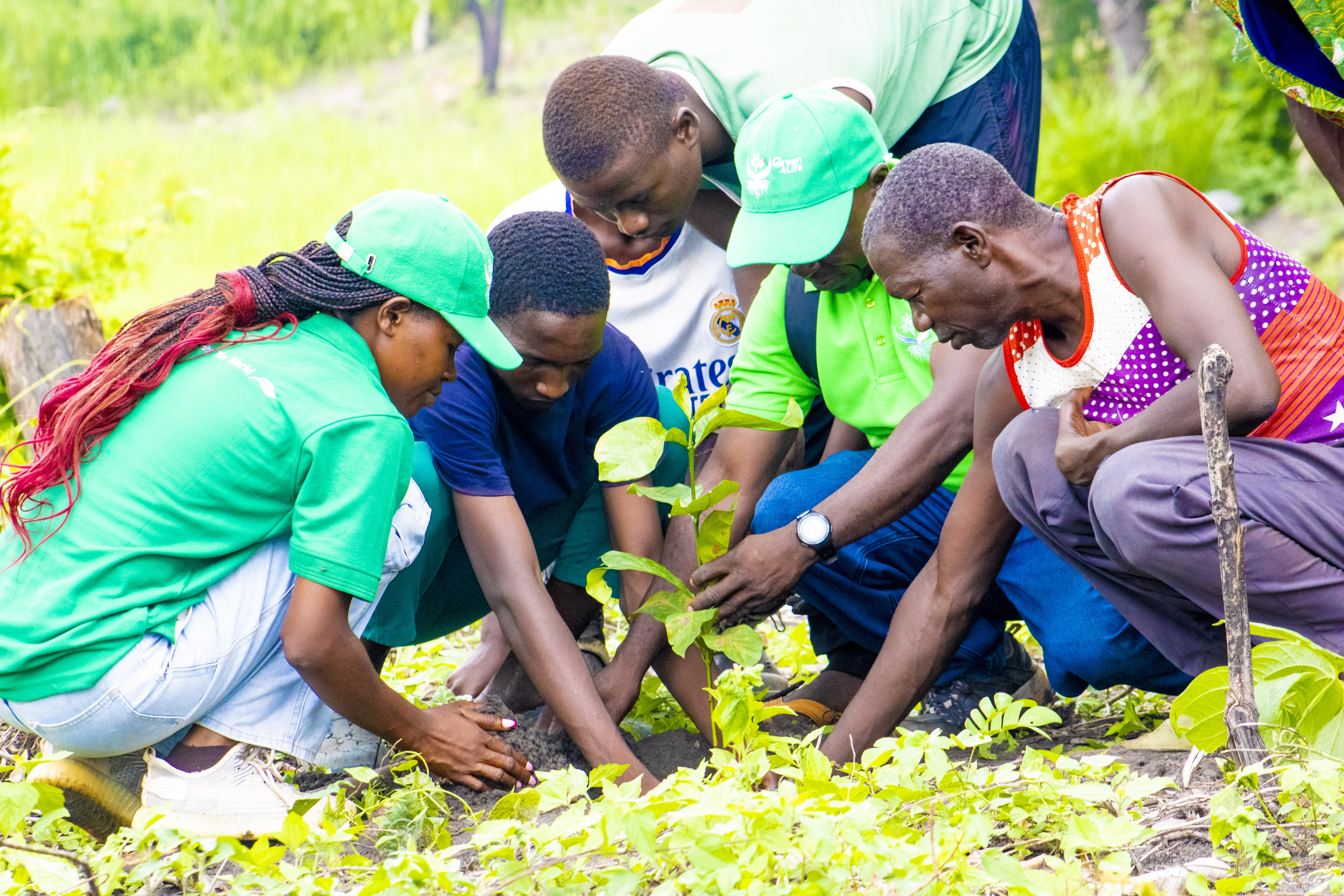 Community empowerment illustration